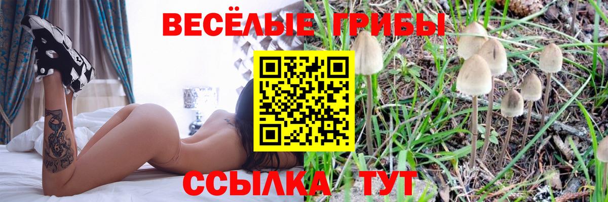 Галлюциногенные грибы Cubensis  Вход с VPN  Галлюциногенные грибы прущие грибы  где купить наркотик  Кызыл 